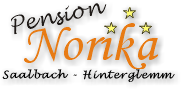 Partner Pension Norika Saalbach